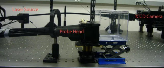 Figure 2.7 OIL's hand held optical imager and a blank phantom where (i) is the source, (ii) is the detector  and (iii) is the hand held probe head in contact with a blank phantom [Jayachandran, et al