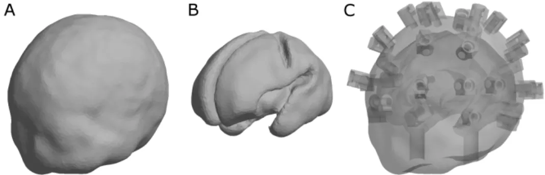 Fig. 1. Progress of the CAD model used to make the 3D printed, anatomically-accurate  phantom