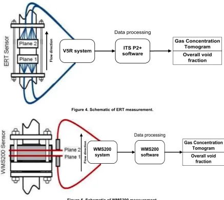 Figure 4. Schematic of ERT measurement. 
