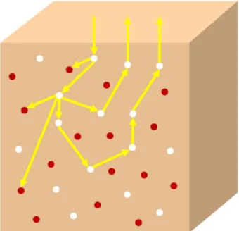 Figure 11. An oversimplification of the movement of photons through turbid  media. Photons can be scattered by scattering agents (white circles) or absorbed  by absorbing agents (red circles)
