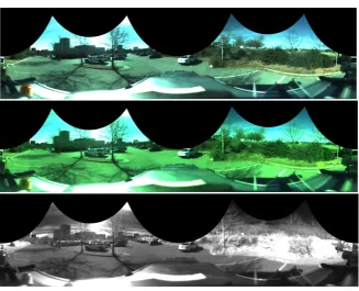 Figure 1.2: Sample multi-spectral data covered 7 wavelength bands (RGB, shifted RGB andNIR).