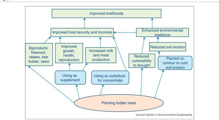 Figure 1 Improved livelihoods Byproducts: firewood, stakes, bee fodder, seed Improvedgrowth,health, reproduction Increased milkand meatproduction Using as  supplement Using as substitute  for concentrate