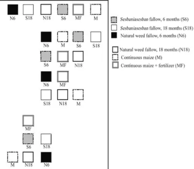 Figure  3.  Layout  of the experimental design –  a randomised complete block design with four  replicates (blocks).