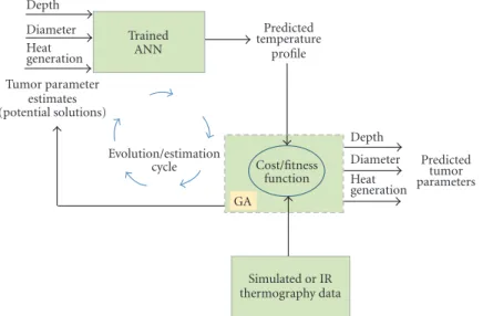 Figure 1: Overall estimation methodology for prediction of breast tumor parameters.