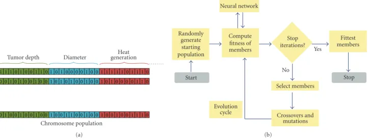 Table 1: Values of thermal conductivity, metabolic heat generation, and perfusion term.