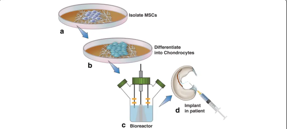 Fig. 5 Regenerative techniques using human MSCs to treat osteochondral defects have had limited success, however nanotechnologymay enhance the efficacy of these therapies