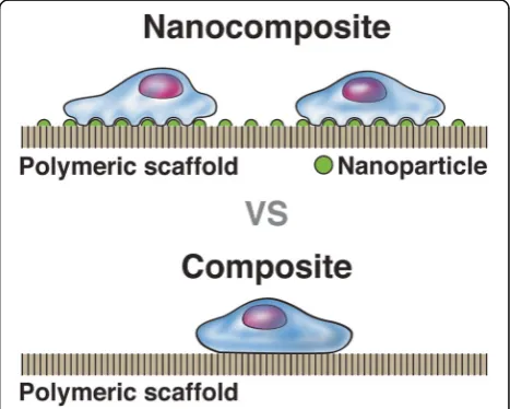 Fig. 6 This illustration highlights the elemental layout of ananocomposite scaffold compared to a conventional composite.The addition of nanoparticles to the general structure allows formore effective adhesion of surrounding osteoblasts