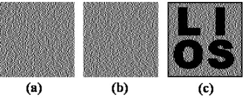 Figure 1: An example of traditional (2, 2)-VCS with image size 128×128.