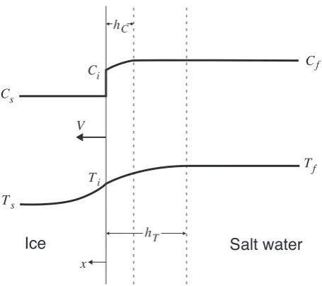 Figure 1.5: The compositional and thermal proﬁles when ice dissolves at a velocity V into saltwater of salinity Cf and temperature Tf