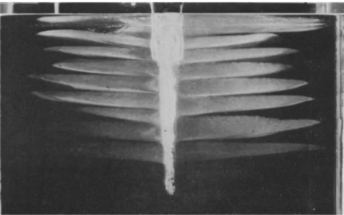 Figure 1.6: Ice ablating into a salinity gradient illuminated with ﬂuorescein dye. Double-diﬀusivelayers are shown by the dye intruding into the interior