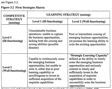 Figure 3.2 Firm Strategies Matrix