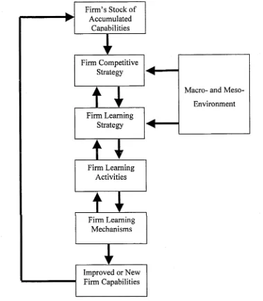 Figure 4.1 Analytical Framework (elaborated)