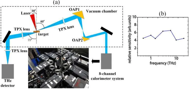 Figure 3. (a) Experimental setup of THz radiation spectrum measurement in ultra-intense laser–plasma interaction experiment
