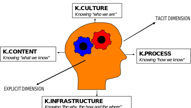 Figure 3 Organisational Knowledge domains and dimensions (Birchall and Tovstiga, 1998) 