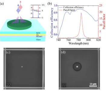 FIG. 1: Circular Bragg resonator on highly-efﬁcient broadband reﬂector (CBR-HBR) for entangled-photon pair generation