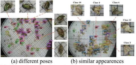 FIGURE 13.(c) Multi-class pest detection under complex scenario  Examples of pest detection results demonstration