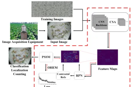 FIGURE 2.  Sample images of 16 Pest Species in our Work. Note that these sample images are partially taken from images of MPD2018