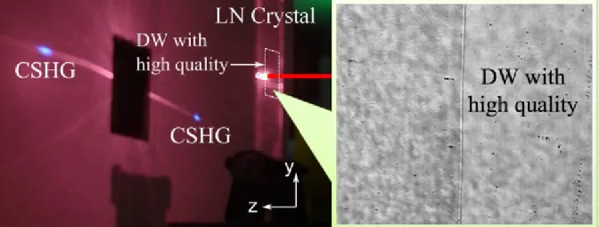 Fig. 1 Pattern of CSHG generated in DW. In the left part, the red line represents the incident  light and the dashed area is domain inversion fabricated by poling technique
