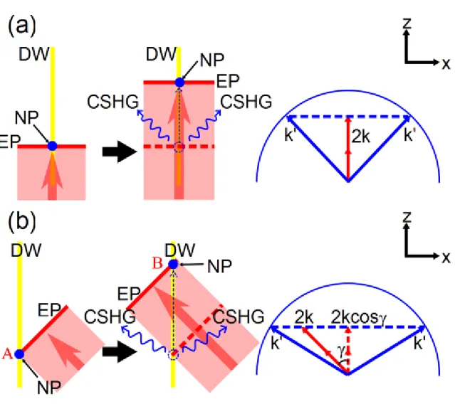 Fig. 2 Schematic depiction of CSHG processes and the corresponding phase matching  condition when (a) the incident light is along the direction of DW; and (b) the incident light 