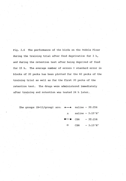 Fig. 2.6 The performance of the birds on the Pebble Floor 