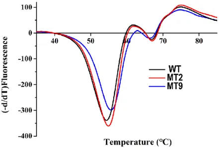 Fig.  S4  Melting  curves  of  wild-type  and  mutant  TDO  measured  using  differential  scanning  fluorimetry