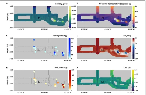 FIGURE 2 | The detection of hydrothermal plume anomalies in the water column over the VDVF for (A) salinity, (B) potential temperature, (C) TDMn, (D) Eh,(E) TDFe, and (F) LSS