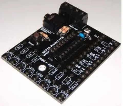 Figure 3.6 - LPC210x ARM7 Microcontroller(senz@dreamislife 2009) 