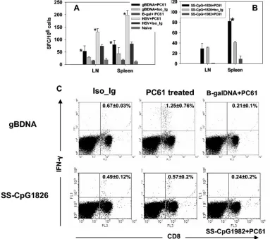 FIG. 3. CD8�CD25�nondepleted mice was used as a positive control. Spleen and draining lymph nodes were collected for analysis on day 60 postimmunization