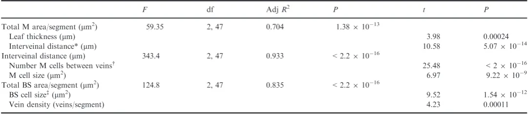 Table 1 Results of linear regression analyses on leaf components underlying M : BS ratios in Alloteropsis semialata
