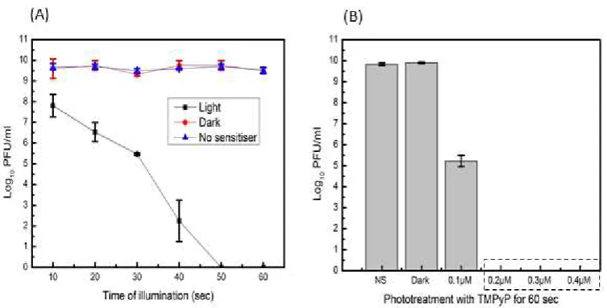 Figure 3: MS2 PDI in solution, illuminated at 32 mW cm-2. (A), PDI using 0.5 µM TMPyP in solution from 10 to 60 sec