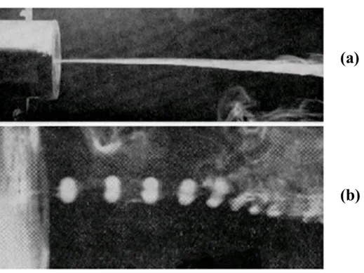 Figure 2.14: Jets driven by (a) steady and (b) stroboscopic illumination [55] 