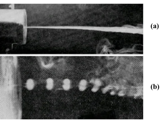 Figure 2.14: Jets driven by (a) steady and (b) stroboscopic illumination [55] 