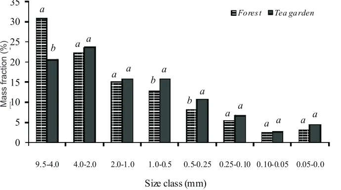 Fig. 1. Effects of two land-use types on soil aggregates (depth of 0-30 cm). The mass percents that share the same letters are notsignificantly�different�at P <�0.05.