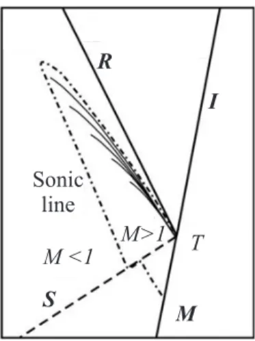 Figure 2.1: Expansion wave evaluation in high-resolution numerical study (Vasil’ev &amp;