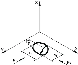 Fig. 1. Three axes and three perpendicular dimensions of kernelsand nuts (X – longitudinal axis, Y – transverse axis, Z – thicknessaxis),��Fx,�Fy�–�rupture�forces.