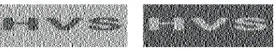 Figure 3: An example of complementary images