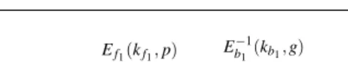 Fig. 2 Meet-in-the-middle attacks with one guess.