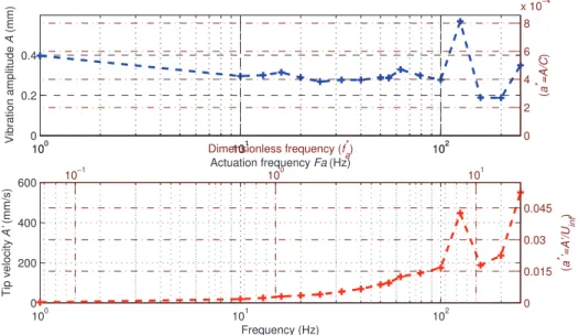 Fig. 2. Vibration amplitude of the Higher Frequency Vibrating Trailing Edge at full voltage