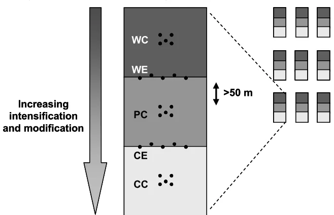 Figure 3.4. Experimental design and spatial arrangement of sampling points in relation to land-usegradient