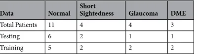 Figure 12. Choroid layer slices to calculate hickness Map: he thickness of each image was taken into account in order to generate the thickness map of each individual