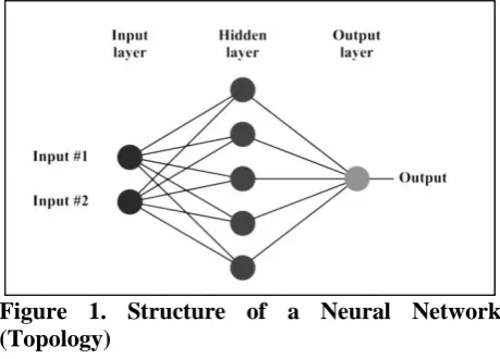 Figure 1. Structure of a Neural Network  (Topology) 