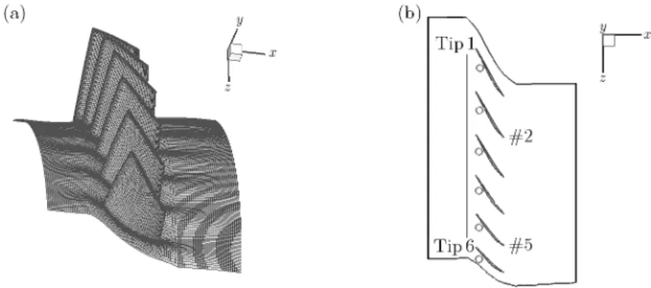 Fig. 1. (a) The computational grids with six passages. (b) The monitors at blade tip area
