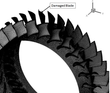 Figure 5.1: Partial view of mesh used for unsteady computation with one medium damaged blade