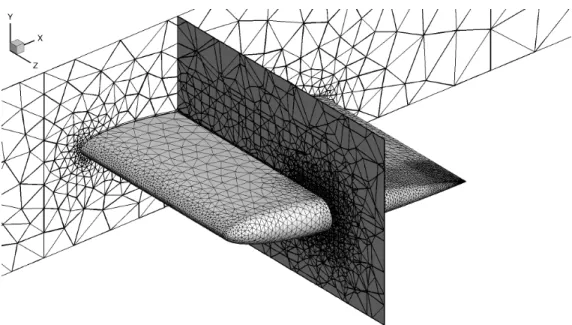 Figure 4: Overview of the coarse surface mesh and two planes, spanwise cut at the root of the wing and streamwise cut around mid chord