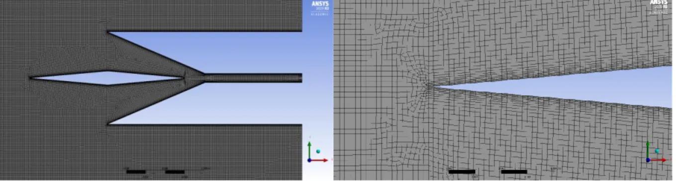 Figure 5.2: Inlet spike mesh. 