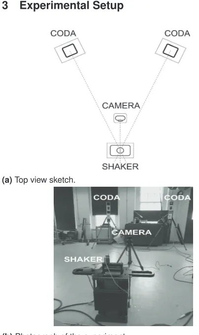 Figure 1. Shaker recorded by a PS3 camera and a CODAsystem.