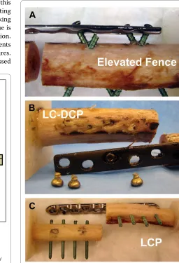 Table 1: Construct stiffness