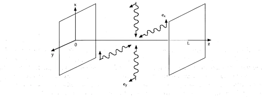 Figure 1.6: Schematic layout of the model of Guzman et al.et al (Reproduced from Guzman  [1]).