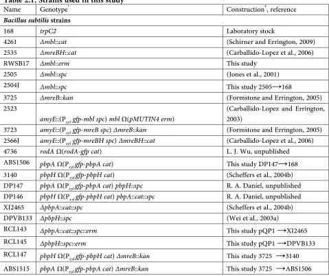 Table 2.1. Strains used in this study Genotype* Bacillus subtilis strains trpC2 