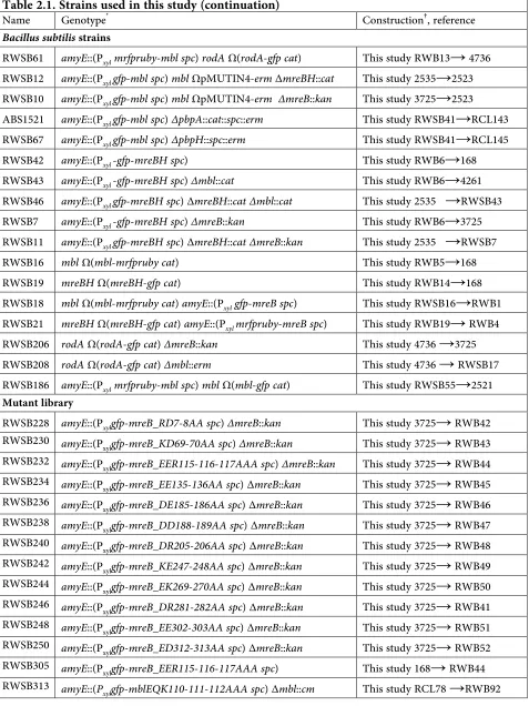 Table 2.1. Strains used in this study (continuation)Name Bacillus subtilisRWSB61 